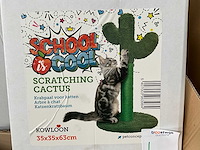 Kowloon cactus krabpaal (12x) - afbeelding 1 van  6