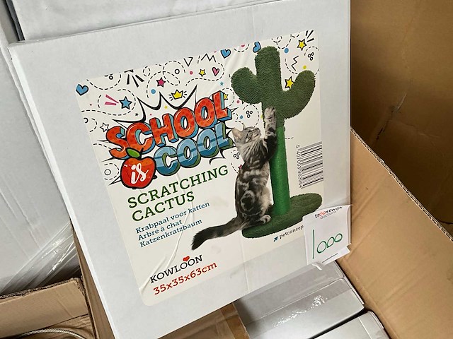 Kowloon cactus krabpaal (12x) - afbeelding 2 van  6