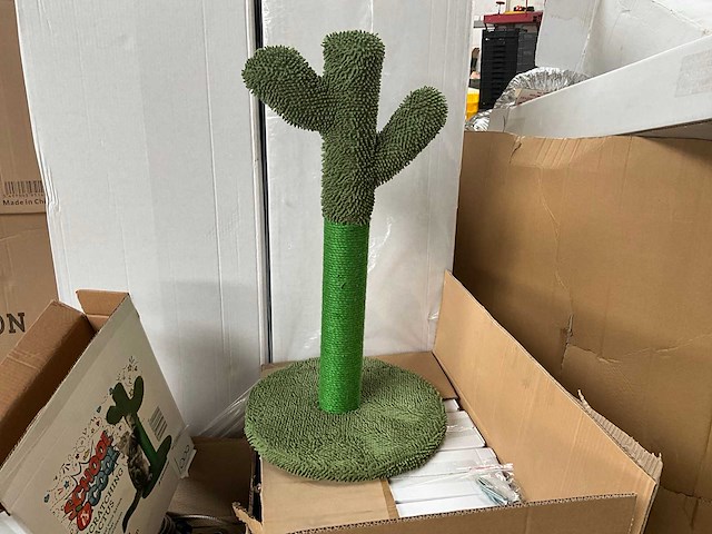 Kowloon cactus krabpaal (12x) - afbeelding 3 van  6