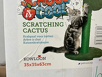 Kowloon cactus krabpaal - afbeelding 5 van  6