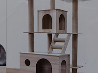 Krabpaal kat / kitten, 2025 - afbeelding 1 van  2