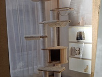 Krabpaal kat / kitten, 2025 - afbeelding 1 van  2