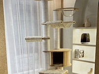 Krabpaal kat / kitten, 2025 - afbeelding 1 van  2