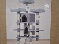 Krabpaal kat / kitten, 2025 - afbeelding 1 van  2