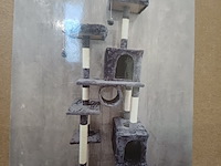 Krabpaal kat / kitten, 2025 - afbeelding 1 van  3