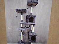 Krabpaal kat / kitten, 2025 - afbeelding 3 van  3