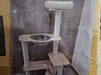 Krabpaal kat / kitten, 2025 - afbeelding 1 van  2