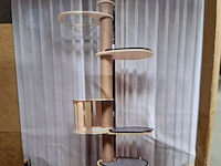 Krabpaal kat / kitten, 2025 - afbeelding 1 van  2