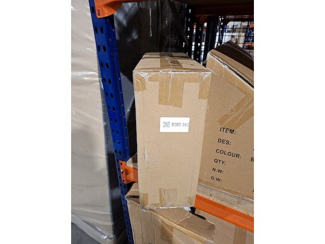 Krabpaal kat / kitten, 2025 - afbeelding 2 van  2