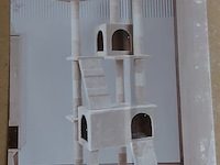 Krabpaal kitten kat poes, 2025 - afbeelding 1 van  3