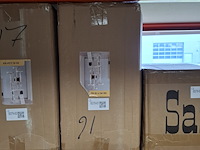 Krabpaal kitten kat poes, 2025 - afbeelding 3 van  3