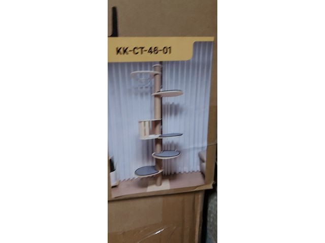 Krabpaal kitten kat poes, 2025 - afbeelding 1 van  3