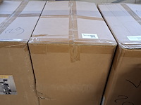 Krabpaal kitten kat poes, 2025 - afbeelding 2 van  2