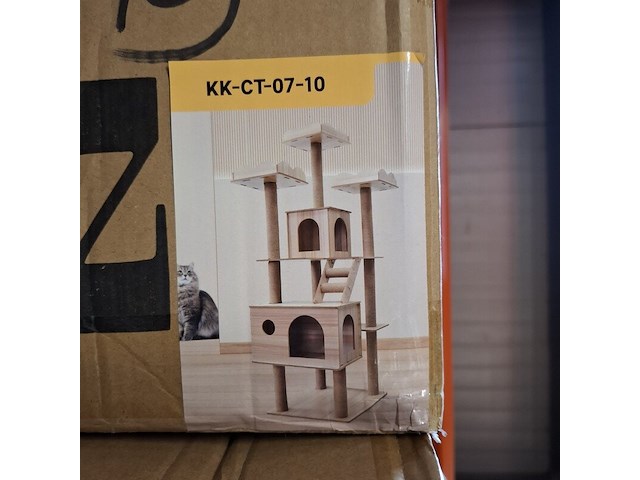 Krabpaal kitten kat poes, 2025 - afbeelding 2 van  3