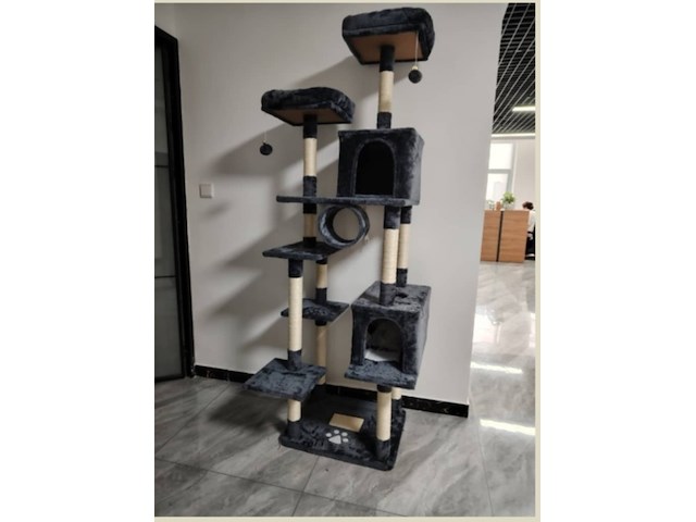 Krabpaal kitten kat poes, 2025 - afbeelding 1 van  3