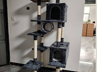 Krabpaal kitten kat poes, 2025 - afbeelding 1 van  3