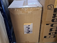 Krabpaal kitten kat poes, 2025 - afbeelding 3 van  3