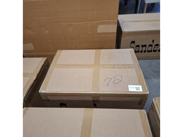 Krabpaal kitten / kat / poes, 2025 - afbeelding 3 van  3