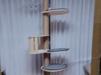 Krabpaal kitten / kat / poes, 2025 - afbeelding 1 van  3