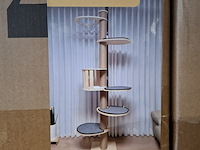 Krabpaal kitten / kat / poes, 2025 - afbeelding 2 van  3