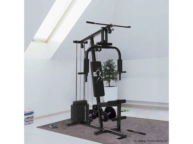 Krachtstation profigym 2000 - afbeelding 12 van  22