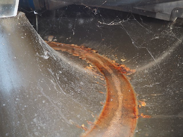 Krämer + grebe - afbeelding 11 van  20