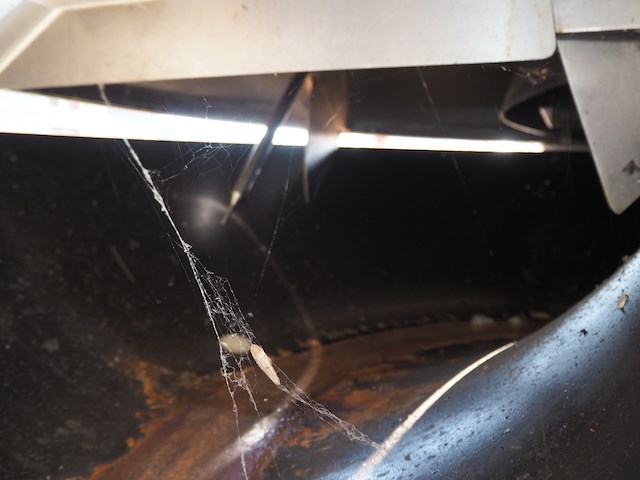 Krämer + grebe - afbeelding 12 van  20