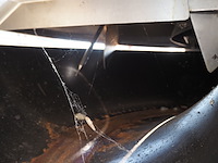 Krämer + grebe - afbeelding 12 van  20