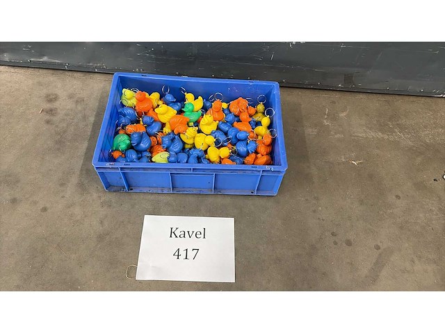 Krat met eendjes - afbeelding 1 van  2
