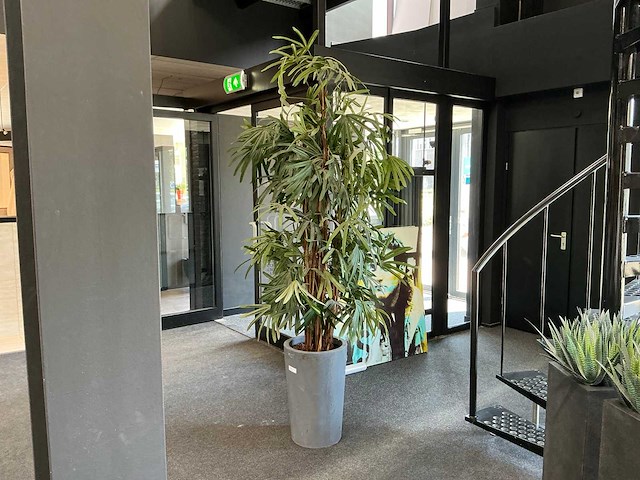 Krayenhoff rhapis kunstpalm - afbeelding 1 van  7