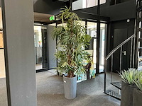 Krayenhoff rhapis kunstpalm - afbeelding 1 van  7