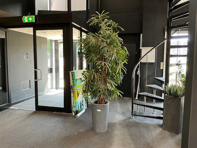 Krayenhoff rhapis kunstpalm - afbeelding 2 van  7