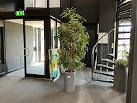 Krayenhoff rhapis kunstpalm - afbeelding 2 van  7