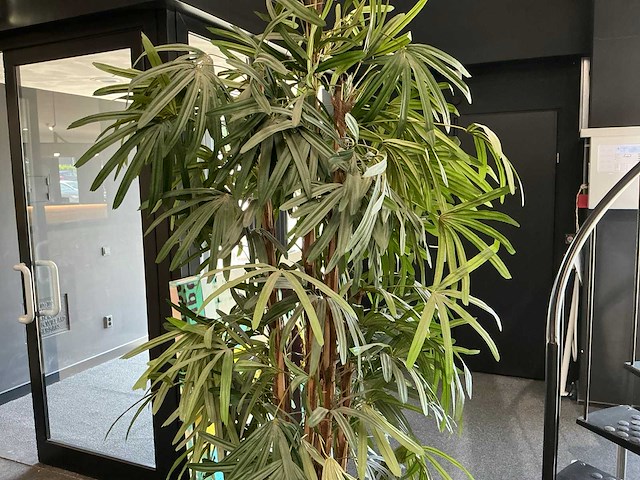 Krayenhoff rhapis kunstpalm - afbeelding 4 van  7