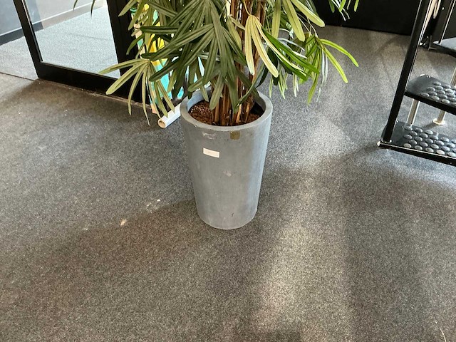 Krayenhoff rhapis kunstpalm - afbeelding 6 van  7