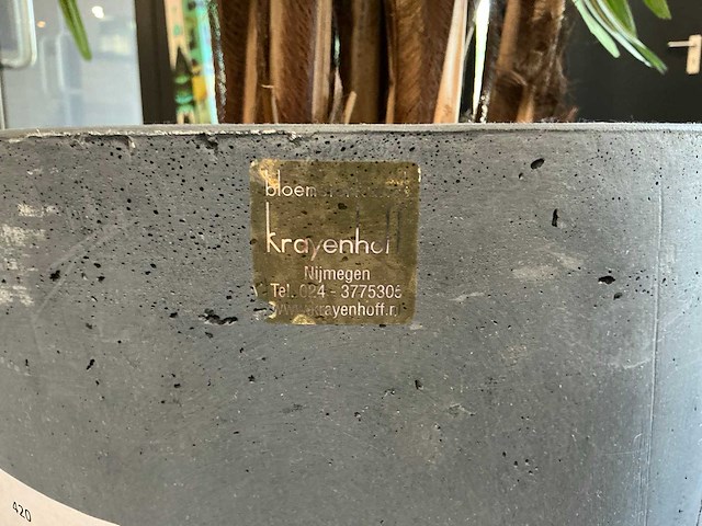 Krayenhoff rhapis kunstpalm - afbeelding 7 van  7
