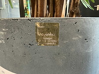 Krayenhoff rhapis kunstpalm - afbeelding 7 van  7