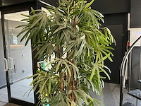 Krayenhoff rhapis kunstpalm - afbeelding 3 van  6