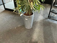Krayenhoff rhapis kunstpalm - afbeelding 5 van  6