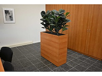 Krea d’or kunstplant roomdevider (2x) - afbeelding 1 van  4