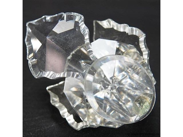 Kristallen zwaan - afbeelding 5 van  5