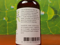 Kruidenextract, diverse soorten o.a. japanse duizendknoop, cichorei bio & bamboe - afbeelding 7 van  21
