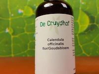 Kruidenextract, diverse soorten o.a. japanse duizendknoop, cichorei bio & bamboe - afbeelding 10 van  21