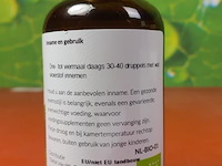 Kruidenextract, diverse soorten o.a. ribes nigrum, sequoia gigantea & caccinium myrtillus - afbeelding 8 van  21