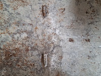 Kruiwagen op luchtband - afbeelding 7 van  8