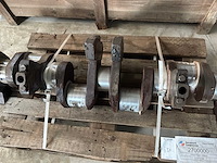Krukas - afbeelding 5 van  6