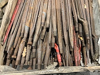 Kuilhapper/grasvork tanden - afbeelding 2 van  4