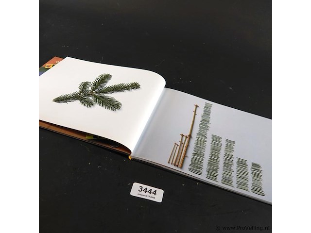 Kunst aufraumen - afbeelding 2 van  5