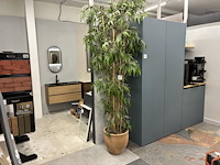 Kunst bamboeplant, hoogte ca. 270 cm. - afbeelding 1 van  3