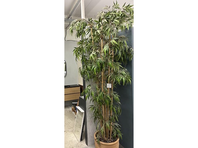 Kunst bamboeplant, hoogte ca. 270 cm. - afbeelding 2 van  3